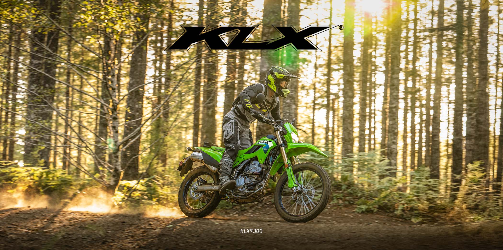 KLX FAMILY: KLX 230 S