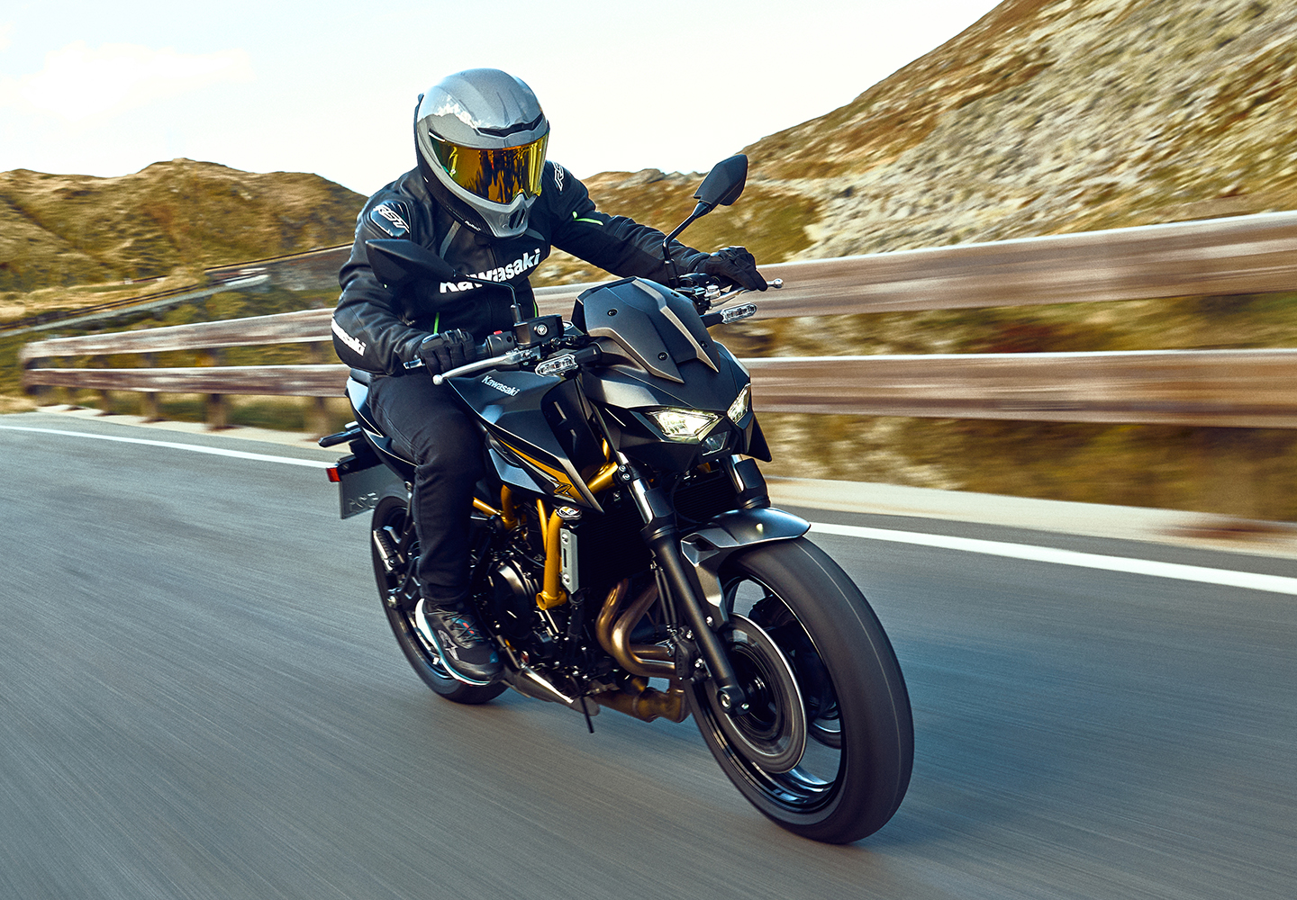 KAWASAKI TERYX: TERYX LE