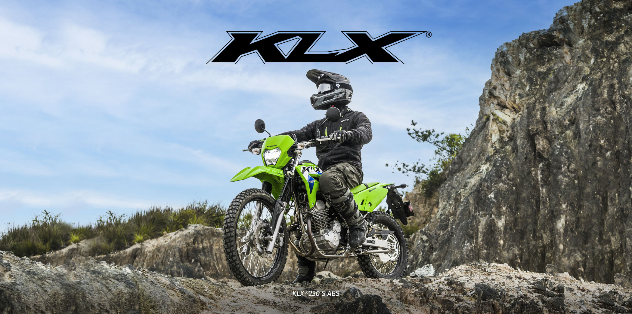 KLX FAMILY: KLX 230 S